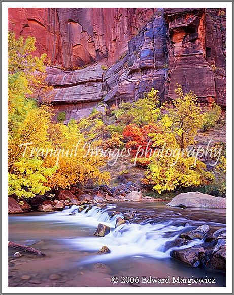 450171---Fall foliage and the Virgin River view 3